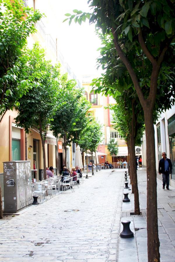 Appartement Plaza Nueva Terraza