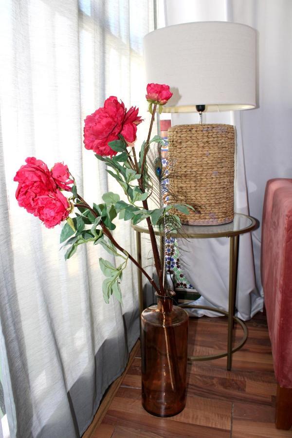 Plaza Nueva Terraza Appartement *